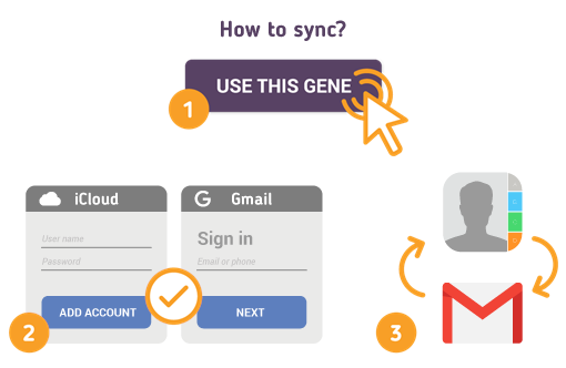 Comment synchroniser les contacts Apple avec Gmail?