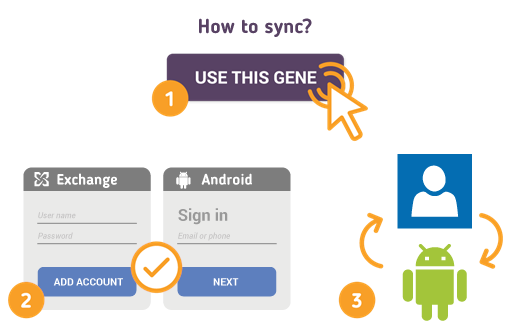 Comment synchroniser les contacts Exchange avec les contacts Android?