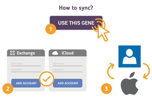 Comment synchroniser les contacts Exchange avec iOS?