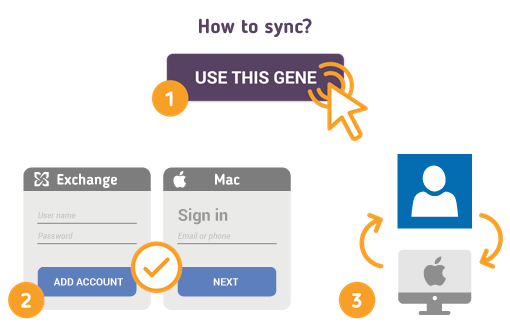 Wie synchronisiere ich Exchange-Kontakte mit dem Mac?