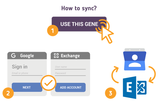 Comment synchroniser les contacts Google avec Microsoft Exchange?