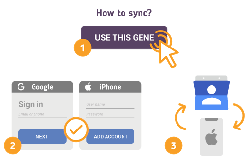 Comment synchroniser les contacts Google avec l’iPhone?