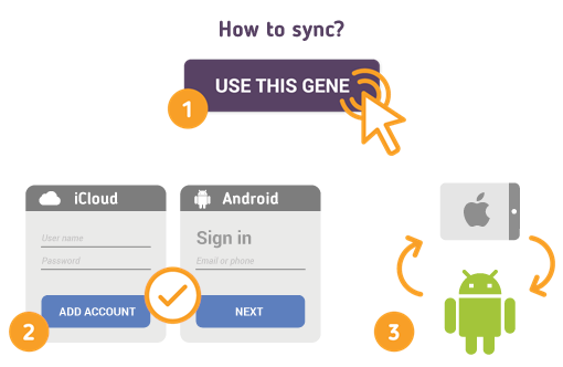 Comment synchroniser l’iPad avec les contacts Android?