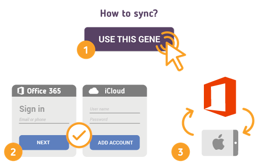 How to Sync Office 365 Contacts with iPad?