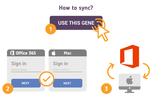 Comment synchroniser les contacts Office 365 avec Mac?